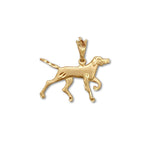 Hound Charm