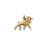 Poodle Charm