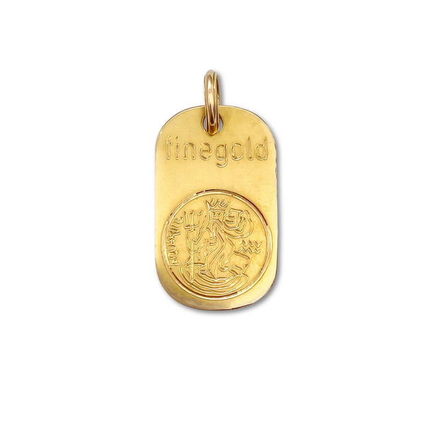 Aquarius Ingot/Dog Tag Charm